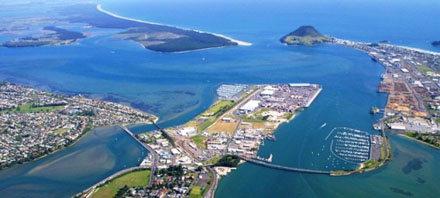 Things to do in Tauranga