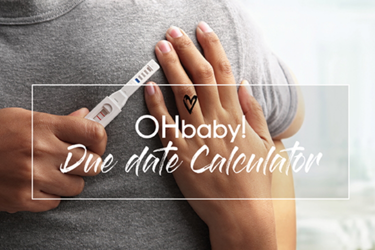 Pregnancy Due Date Calculator
